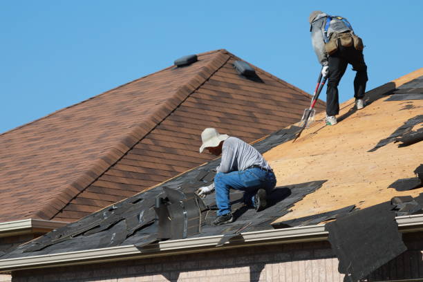 Best Metal Roofing Installation  in Battlefield, MO